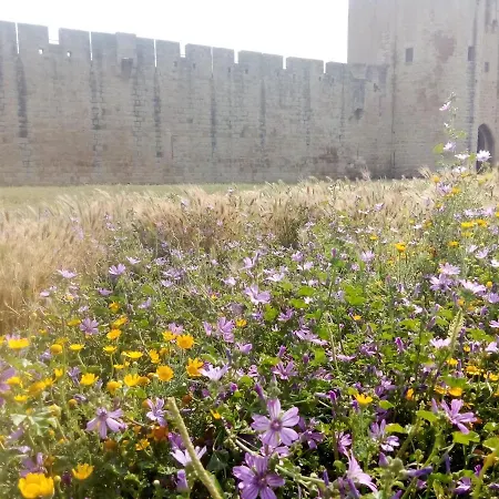 فندق مبيت وإفطار La Maison Perchee