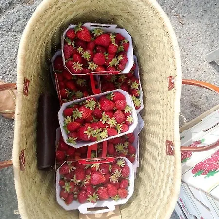 La Maison Perchee فندق مبيت وإفطار 3*